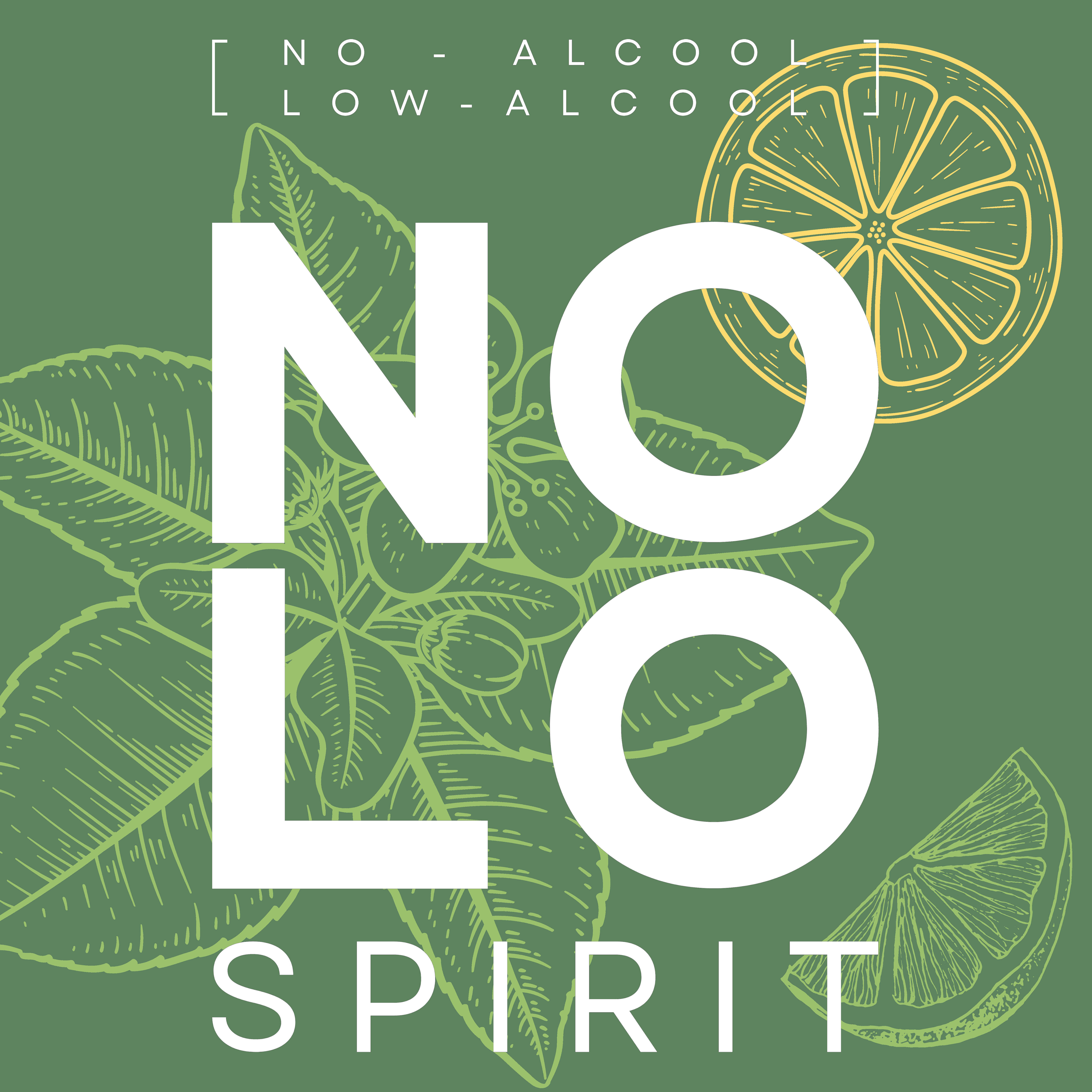 Logo NOLO SPIRIT