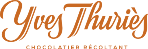 Logo Yves Thuries